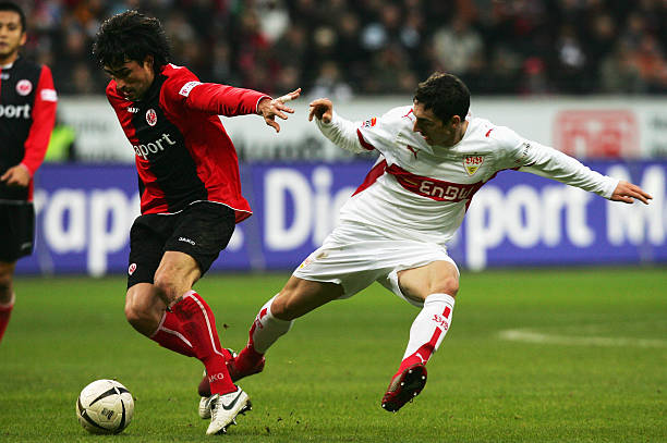 持高水平的 持高水平的